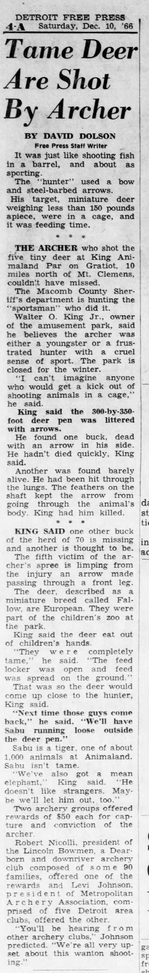 Kings Animaland Park - Dec 1966 Park Loses Tame Deer To Archer - Walt Uses  Tiger For Security